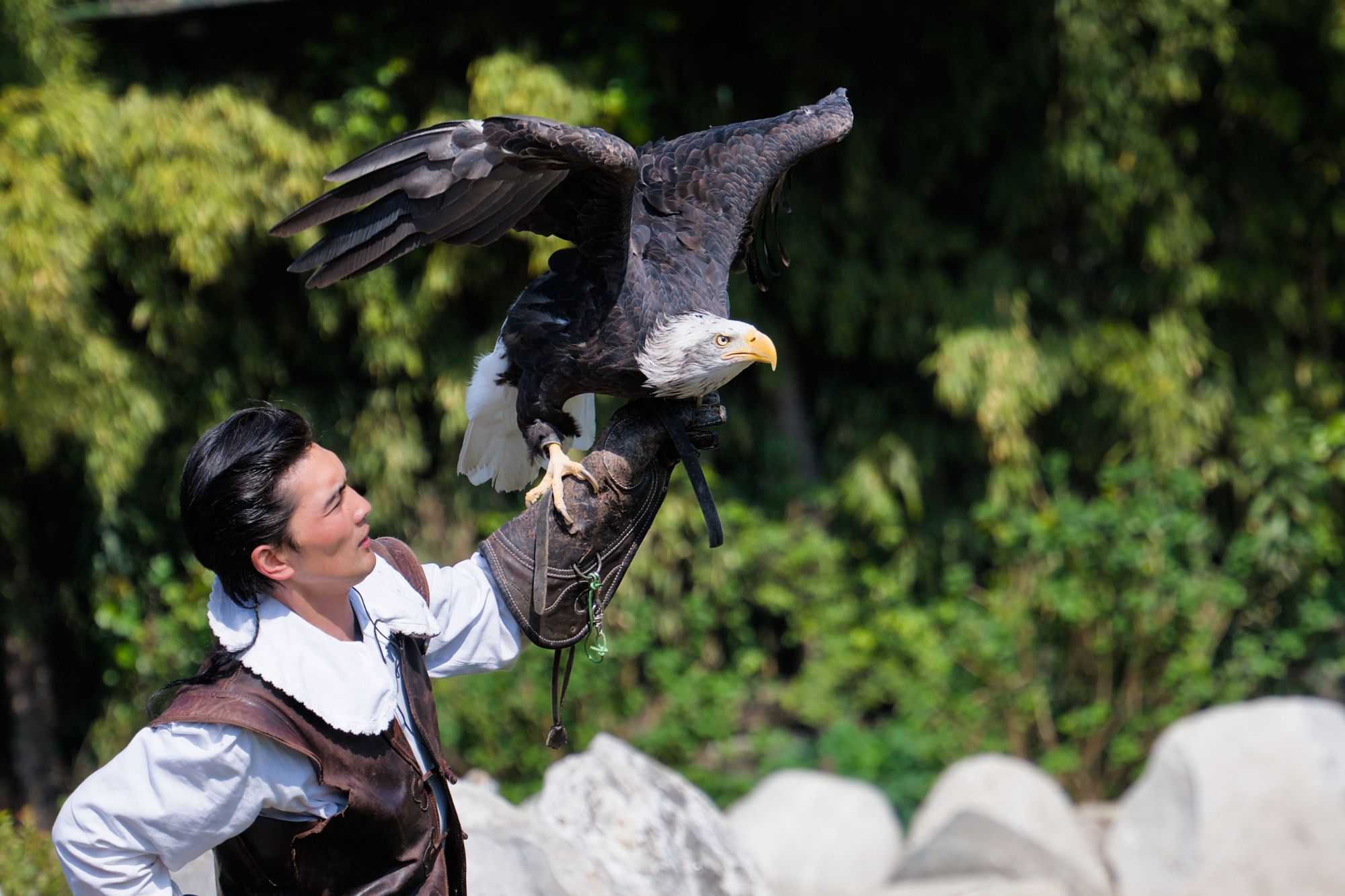 Falconeria Locarno