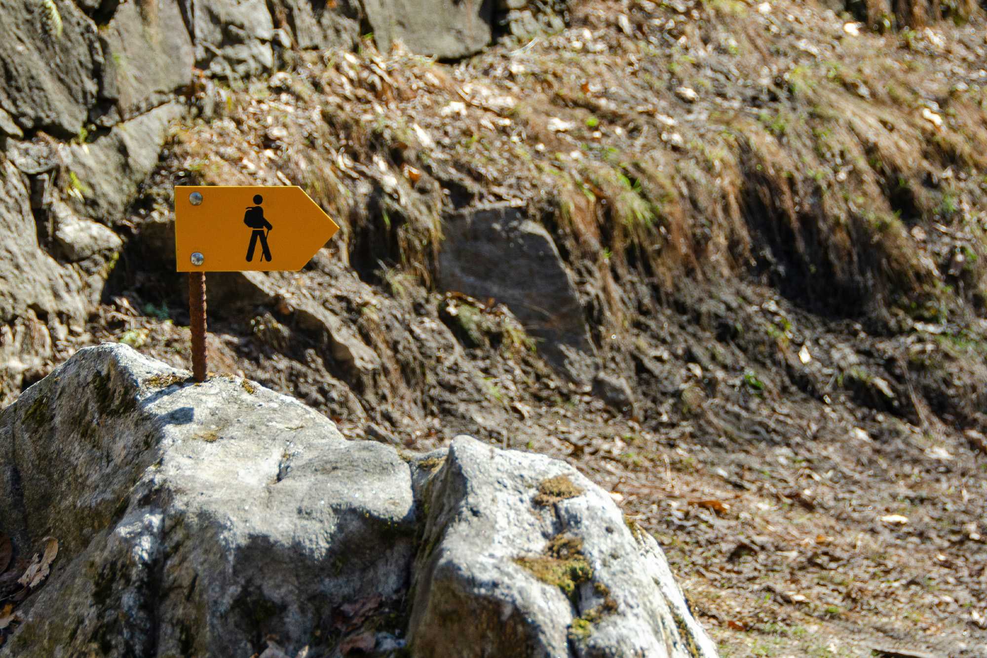 Trail sign